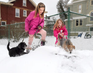 Sunday predicted to bring a break from the ice